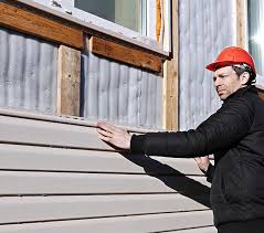 Best Custom Trim and Detailing for Siding  in Ridge Wood Heights, FL